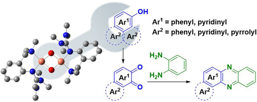 ChemEurJ's tweet photo. Exceptional substrate diversity in #oxygenation reactions catalyzed by a #coppercomplex @RWTH @unihh @UniFAU https://t.co/RZL9cyd3K5 https://t.co/8EECP1gttH