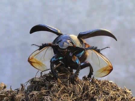 CumbriaWildlifeTrust tweet media