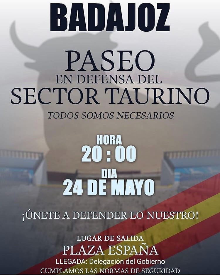 LAURAGALAN81's tweet photo. Paseos en defensa del sector taurino.
👇🏻👇🏻👇🏻👇🏻
#ElToreoEscultura #TauromaquiaCulturaUniversal https://t.co/Fusg0AMxaE