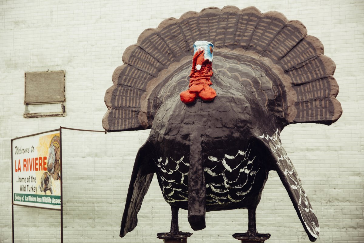 CMBTourism's tweet photo. At 9 feet high, this turkey is bigger than any you would find on your dinner table. 🦃
📸Location: La Riviere
#Turkey #RoadSideAttractions #Highway #ExploreCMT #ExploreMB #Manitoba #LaRiviere https://t.co/hsPim20f6u
