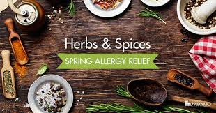 Did you know there are certain spices and herbs, that can help with spring allergies ? Check out Turmeric, Stinging Nettle leaf, Pasley, Onions, Broccoli and Citrus Fruits..
Incorporating these allergy-fighters into your daily diet—and get ready to breathe easy this spring!