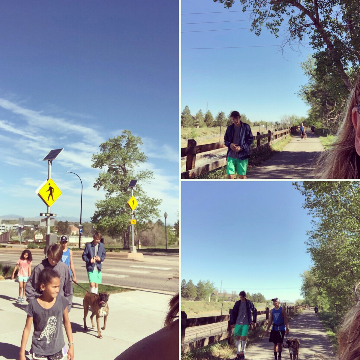 COtriMom's tweet photo. Each at home school day started with a 9am walk. Today is our last day. It was a treasure. Goodbye to 9th, 8th, 5th, & 3rd grade x 2. #quarantineCrew #BeginWell #StemStrong #BrevoortsBeBrave https://t.co/1lu5k0KZaV