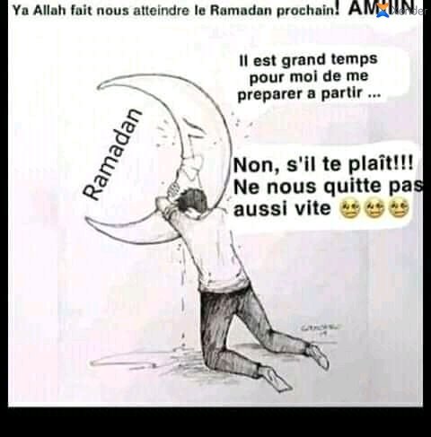 Zakaria01276495's tweet photo. Vraiment adjib michil amiss bess dahaba dja k tra. #le mond s'ettend vers la #fin. Amchi afé #ramou https://t.co/WJsarmwYJT