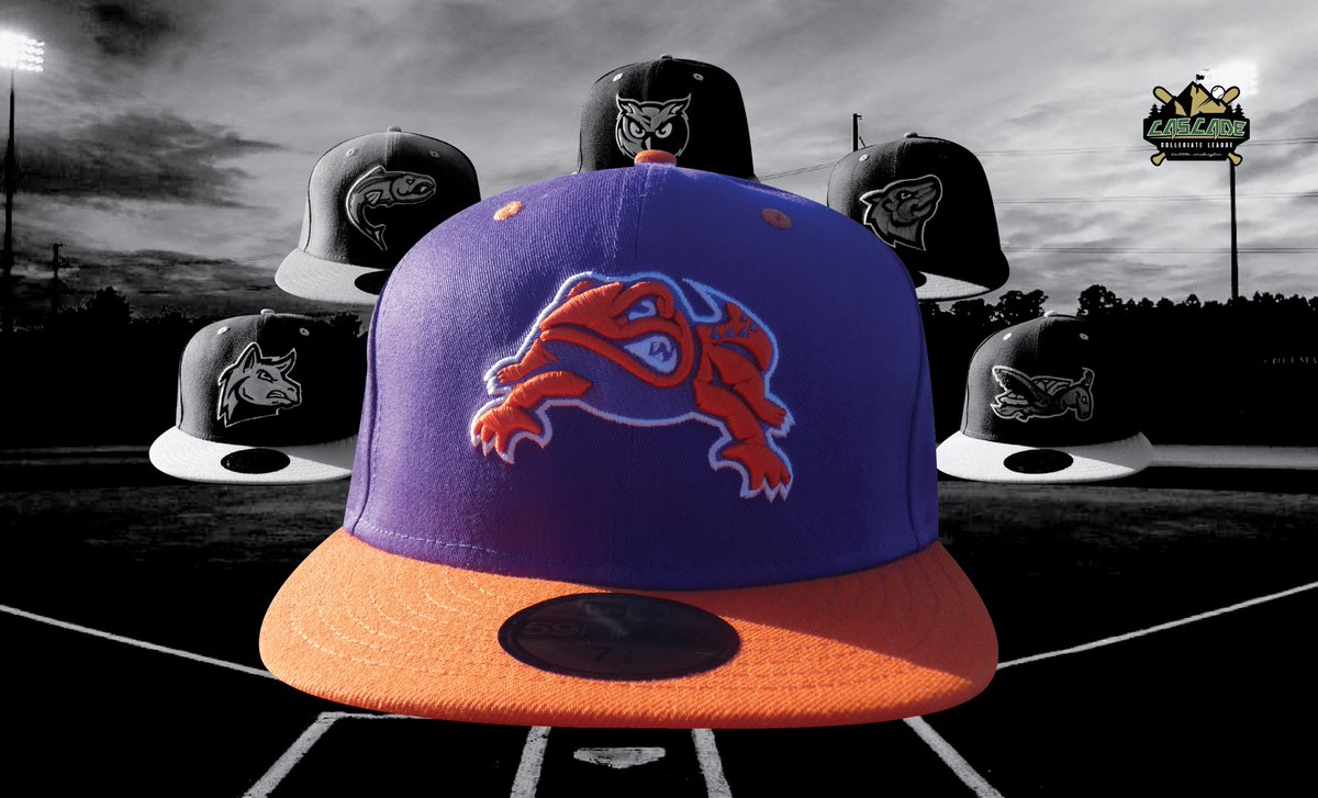 Salamanders Baseball tweet media