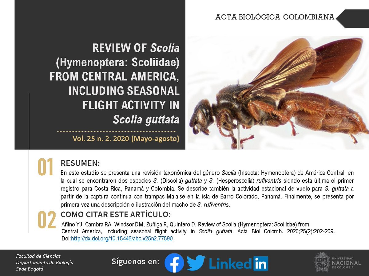 RevistaABC's tweet photo. 📣#NuevoNúmero 📄 #ArtículodeInvestigación | Revisión de Scolia (Hymenoptera: Scoliidae) para América Central, incluyendo actividad de vuelo estacional en Scolia guttata. Consúltelo en 👇:
https://t.co/QIGybvGpa2
@UNALOficial @RevistaABC #Vol25Num2 #SomosUNAL https://t.co/UJSmMPcZuO