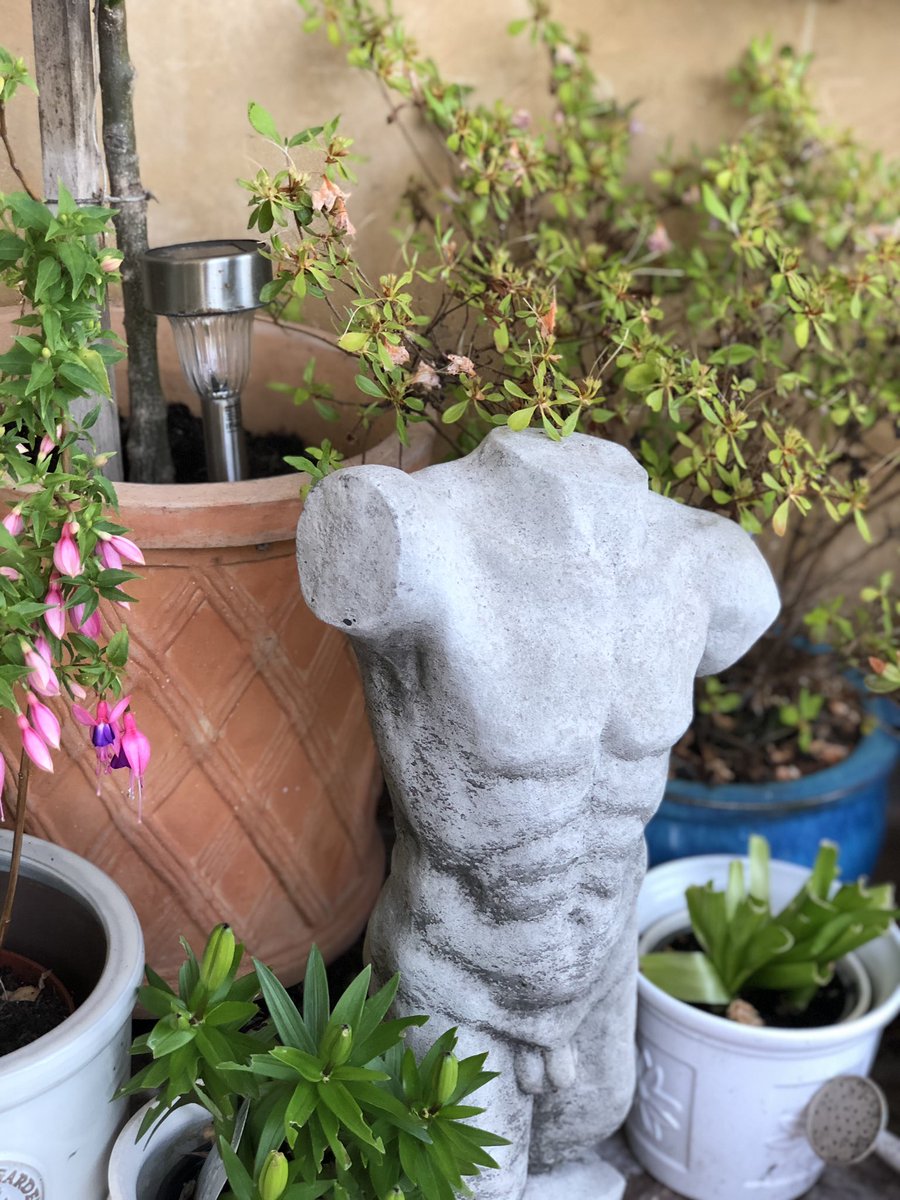 Sharron Davies HoL MBE tweet media