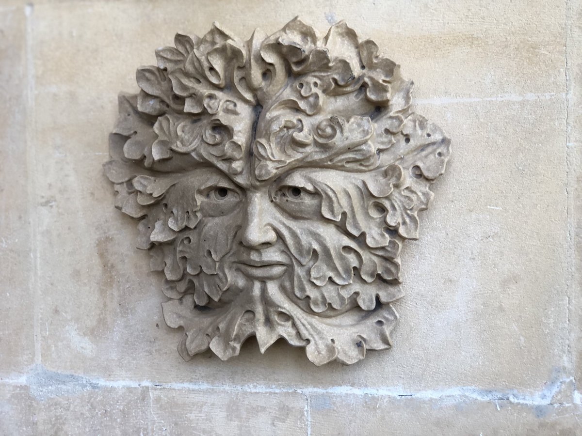 Sharron Davies HoL MBE tweet media