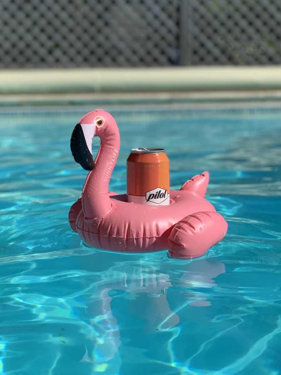 19james80's tweet photo. This flamingo talks my lingo, @pilotbeeruk 😎 https://t.co/RKxI1nyOpO