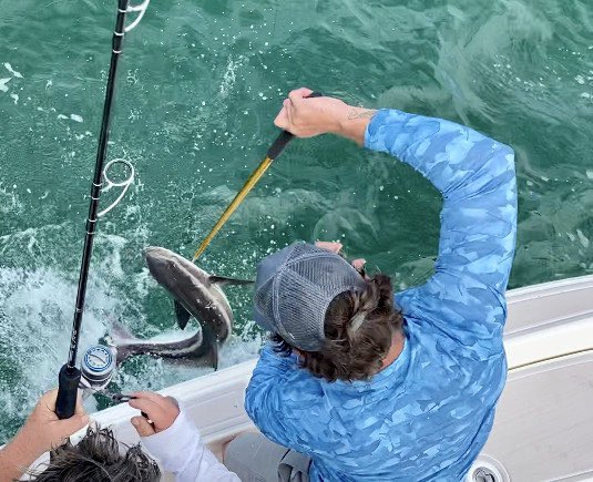 Reellifegear's tweet photo. #fishon #livingthereellife #reellifegear https://t.co/N28yr3BRo6