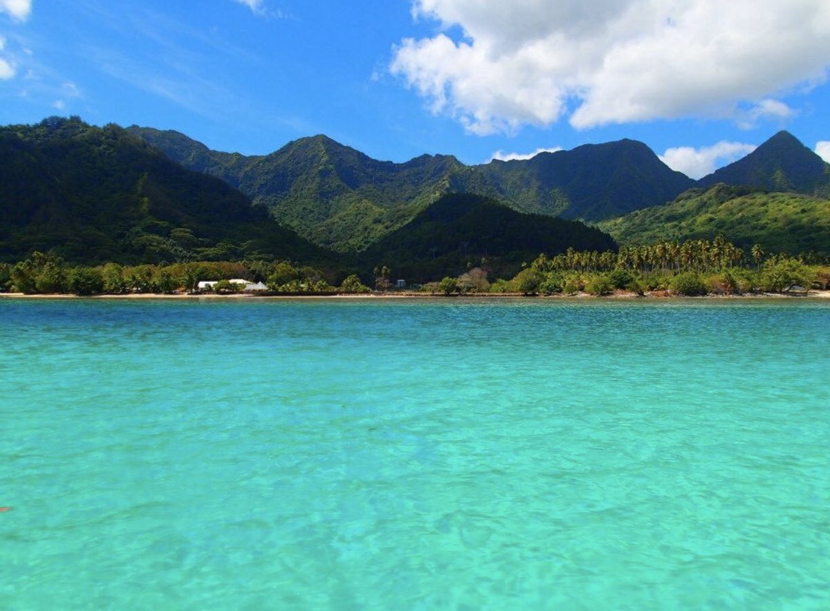MrsThomasey's tweet photo. Where in the world...... Tahiti!!!
I couldn’t resist sharing this amazing water... Tahitian water is my favorite color! 🌊 🌊🌊
#Tahiti #whereintheworld https://t.co/X7QPLZRtCa