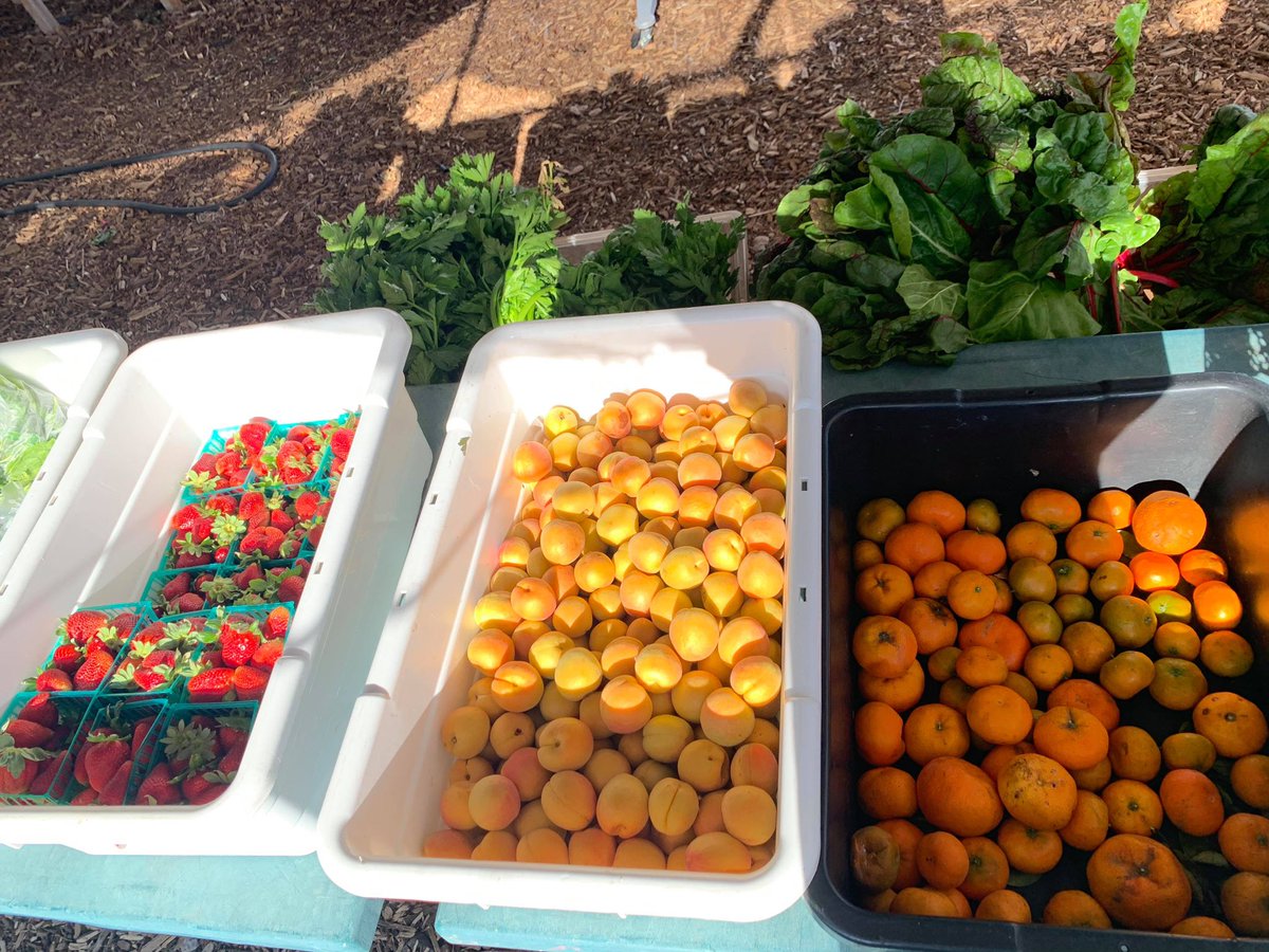 _huertadelvalle's tweet photo. Come visit us at our market! We are open Monday’s 3-6pm, Wednesday’s 8am-12pm and Saturday 9am-3pm for fresh fruits &amp; veggies!
.
Ven a visitarnos a nuestro mercado Estamos abiertos los lunes de 3-6pm, miércoles de 8am-12pm y los sábados de 9am-3pm para frutas y verduras frescas! https://t.co/W8CJxv05aY