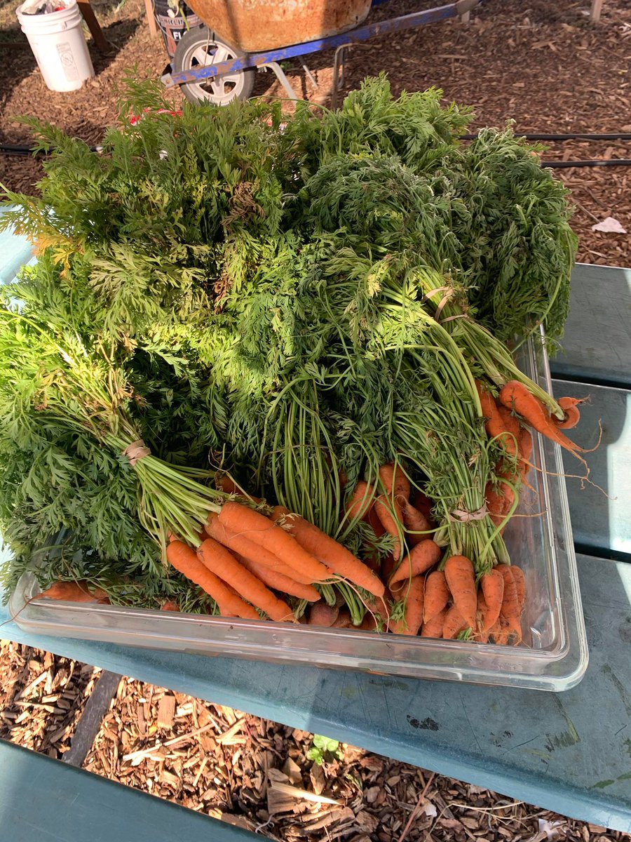 _huertadelvalle's tweet photo. Come visit us at our market! We are open Monday’s 3-6pm, Wednesday’s 8am-12pm and Saturday 9am-3pm for fresh fruits &amp; veggies!
.
Ven a visitarnos a nuestro mercado Estamos abiertos los lunes de 3-6pm, miércoles de 8am-12pm y los sábados de 9am-3pm para frutas y verduras frescas! https://t.co/W8CJxv05aY
