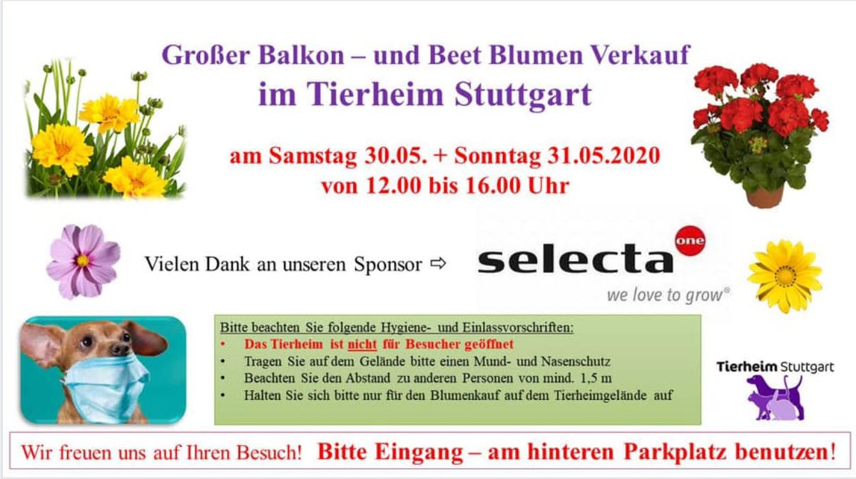 Silberpfoten's tweet photo. https://t.co/9rHQWh2s9T