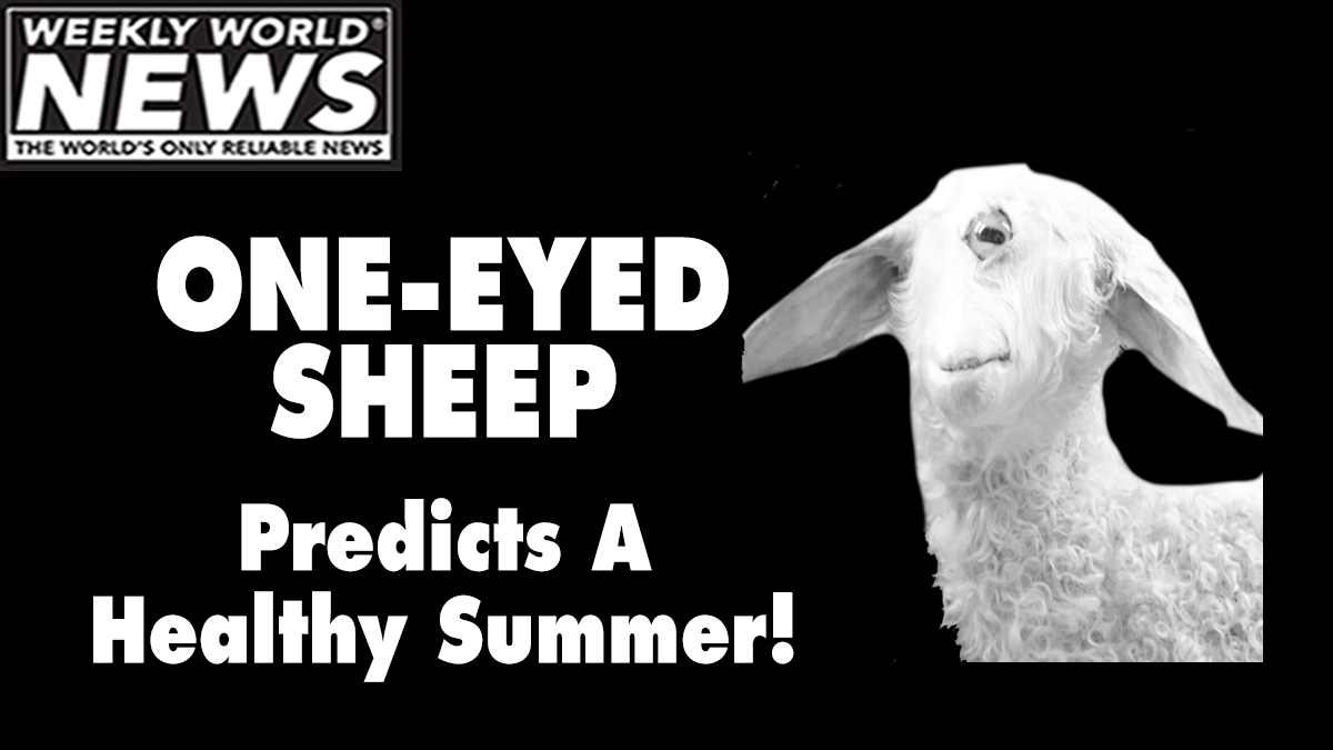 weeklyworldnews's tweet photo. Predictions from a singularly focused source! #weeklyworldnews #cyclops #oneeyedgoat #oneeyedsheep #predictions https://t.co/i5l0Brx4DR