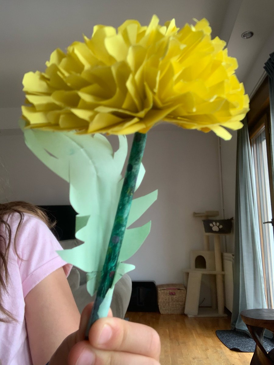 BSB_KS1's tweet photo. Learning about the parts of a flower, inside and out. @BSB_KS1 @britishschoolro #ScienceAtHome https://t.co/B4Nq8hROyk