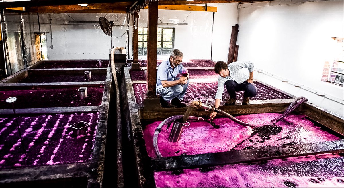 Unlike many historic Australian wineries, Henschke is still owned by the original founding family! Today it is run by the fifth and sixth generations with Stephen and Prue Henschke at the helm while their son, Johann, is the estate’s talented winemaker 🍇 <a href="/henschkewine/">Henschke</a>