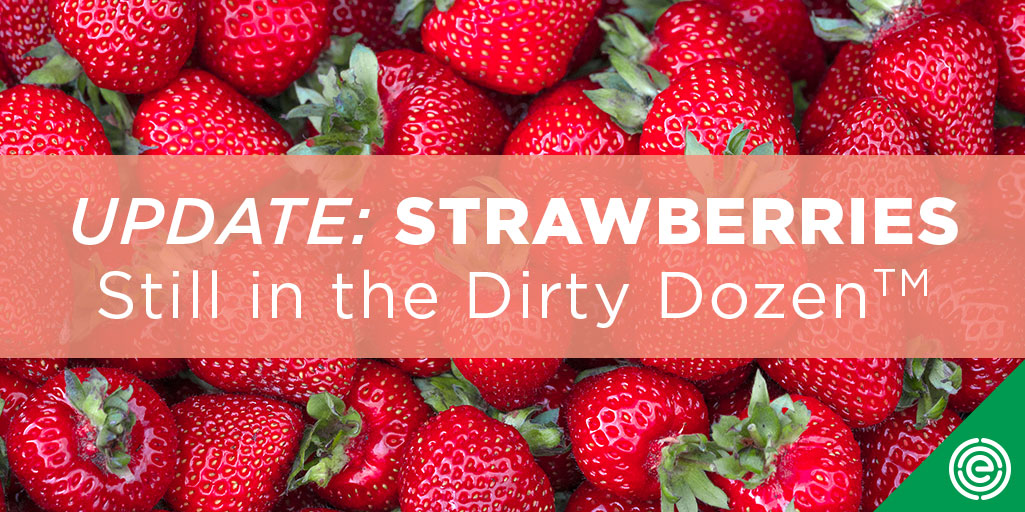ewg's tweet photo. Why are strawberries once again at the top of the Dirty Dozen™ list? @USDA tests found that they were the fresh produce item most likely to be contaminated with pesticide residues, even after they are picked, rinsed in the field and washed before eating. https://t.co/d9Ja6DTOZ9 https://t.co/MBDE3BaAzI