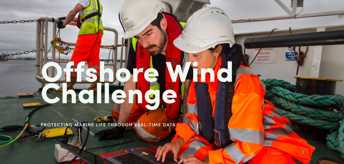 MassCEC's tweet photo. Our friends at @GreentownLabs are partnering with @VineyardWindUS to advance data collection, transmission, and analysis to protect Right Whales and other marine life. Apply to the #OffshoreWindChallenge by May 31! https://t.co/De5bVKUcOr https://t.co/xEWdKVxLAX