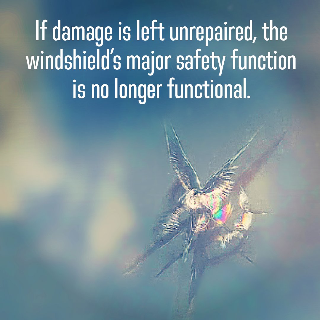 Take care of your vehicle and ensure it performs as intended.

#WindshieldWisdoms #WindshieldRepair #WindshieldFacts #RepaireBecauseYouCare