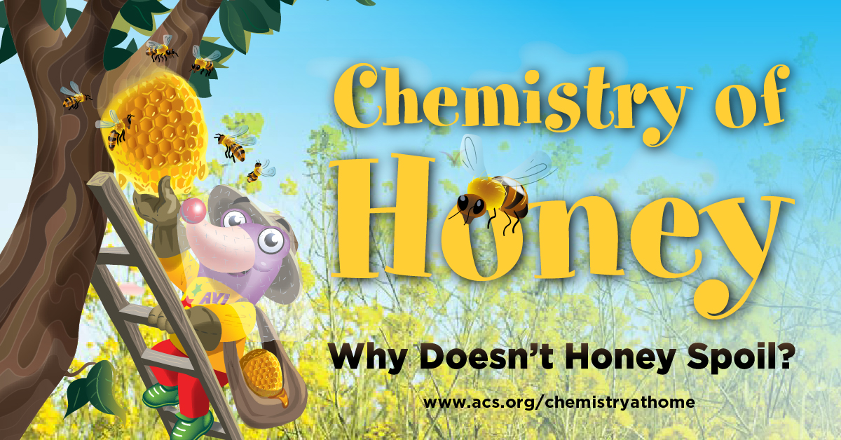 AmerChemSociety's tweet photo. Happy #WorldBeeDay! #DYK #honey is the only food that doesn’t spoil over time? The reason has to do with its chemical composition! Check out more articles &amp; activities on food #chemistry at https://t.co/YW9dXNWcV3. #ACSChematHome #SaveTheBees #DíaMundialdelasAbejas #ZeroHunger https://t.co/dHt1TAuwan