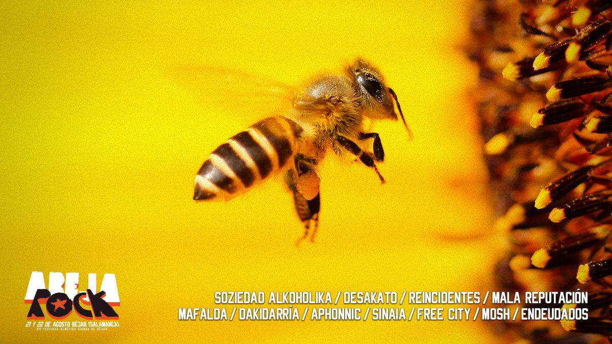 Las abejas somos uno de los seres vivos mas importantes del planeta, ¿acaso la avispa tiene un festival en su nombre 😏? ¡Feliz día 🐝 de las Abejas!
#DíaMundialAbejas #BeeDay #Béjar #AbejaRock