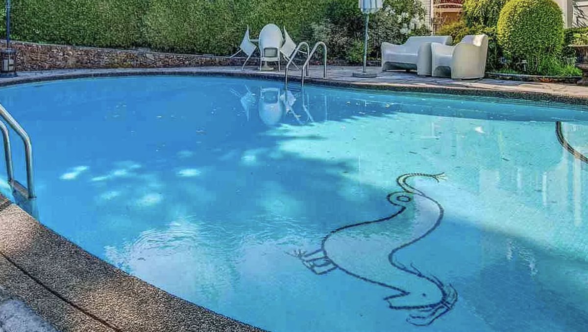 What is going on with this pool at a $5.9M CAD house?