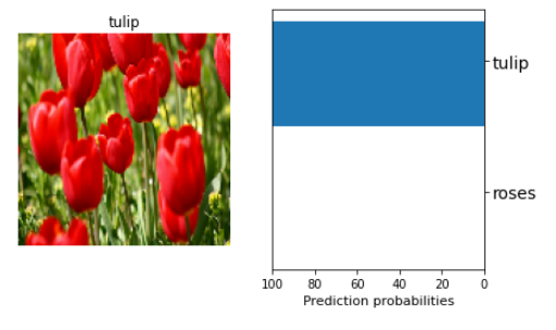 Example of image classifier model for flowers 