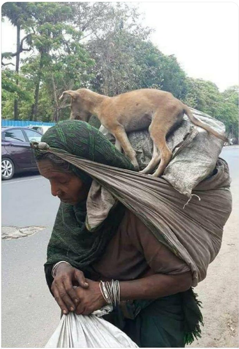 jagdishs22's tweet image. આ પરથી સરકારે કંઇક તો શીખવું જોઈએ
#LaboursInLockdown
#Indiangovernment