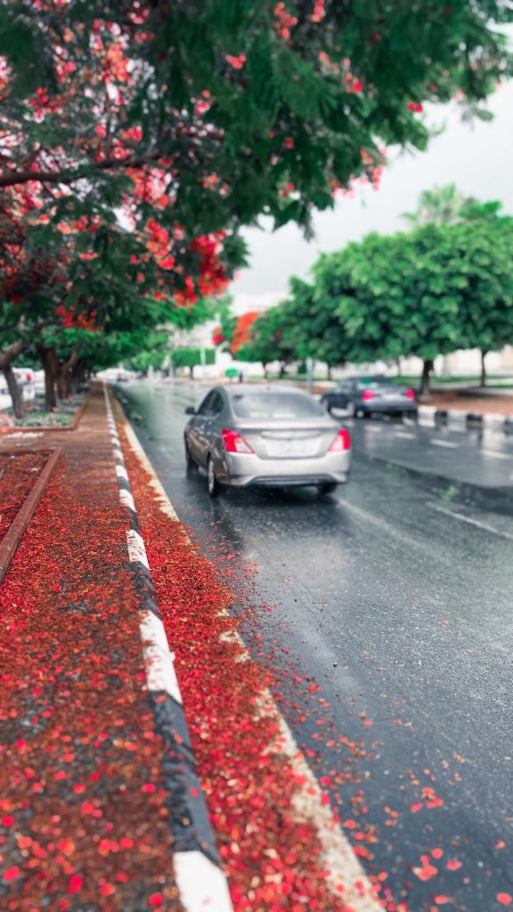 taif_now's tweet photo. المطر .. ينثر الورد الأحمر في شوارعها ❤️
.
.
 #الطايف_الان https://t.co/QYkvHJpzLv
