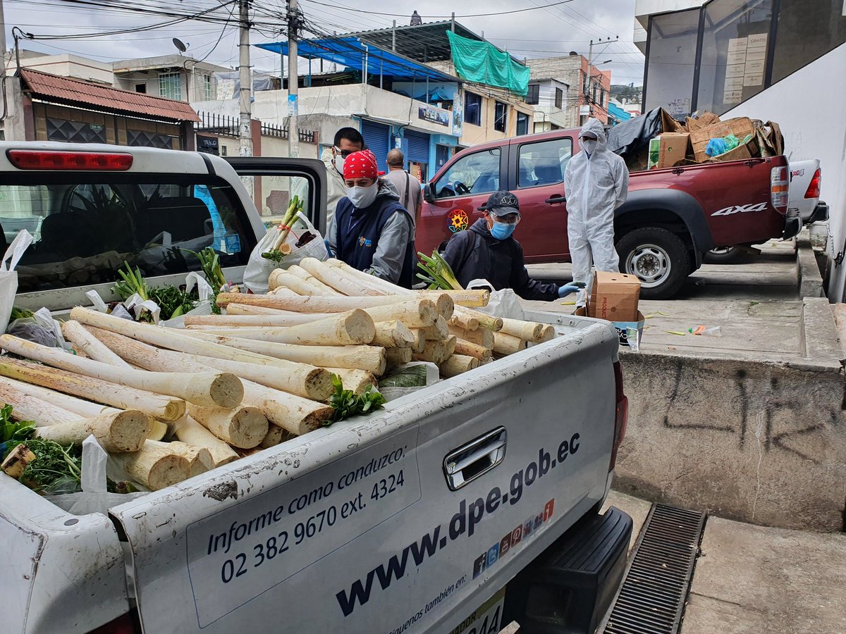 BetoVelozNavas's tweet photo. Listos para seguir como Delegación Provincial de #Pichincha @DEFENSORIAEC con la #MingaSolidaria #MingaHumana entregando los kits gestionados y llegando a personas en doble condición de vulnerabilidad, casa a casa y puerta a puerta. Por un  #EcuadorTierraDeDerechos https://t.co/IaVbUeiYbW