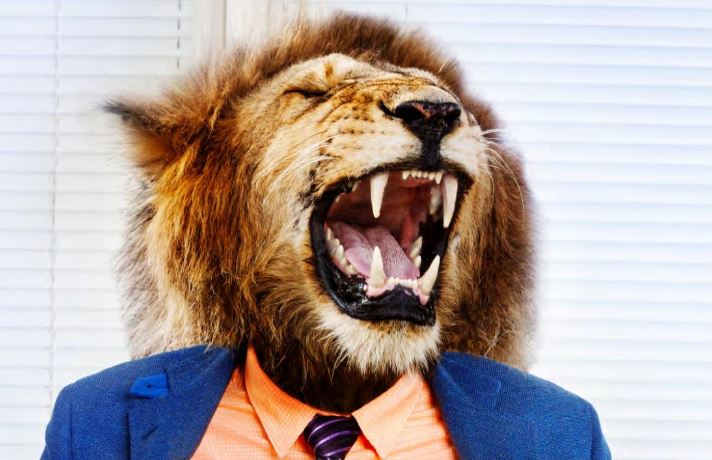 Cappelen Damm Utdanning tweet media