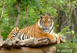 Brenda M. Davis (@brendamdavis3) on Twitter photo 