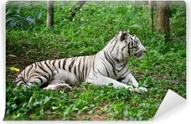 Brenda M. Davis (@brendamdavis3) on Twitter photo 