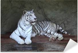 Brenda M. Davis (@brendamdavis3) on Twitter photo 