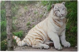 Brenda M. Davis (@brendamdavis3) on Twitter photo 