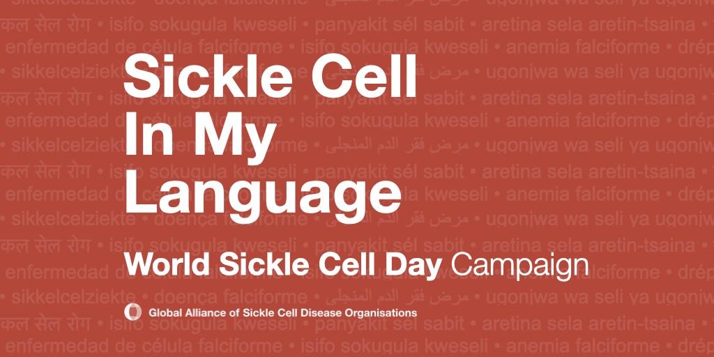globalscdorgs's tweet photo. Follow link to know what is happening at the Global Alliance of Sickle Cell Disease Organizations *|https://t.co/vL2Ni0W4N3|*
#scdglobal #GASCDO #WSCD2020 #sicklecellawareness #scdadvocacy https://t.co/jZJBxrpeoT