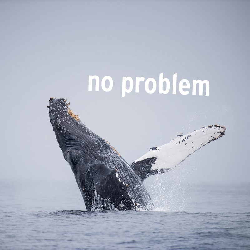 MontereyAq's tweet photo. https://t.co/xjrms5x70m