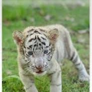 Brenda M. Davis (@brendamdavis3) on Twitter photo 