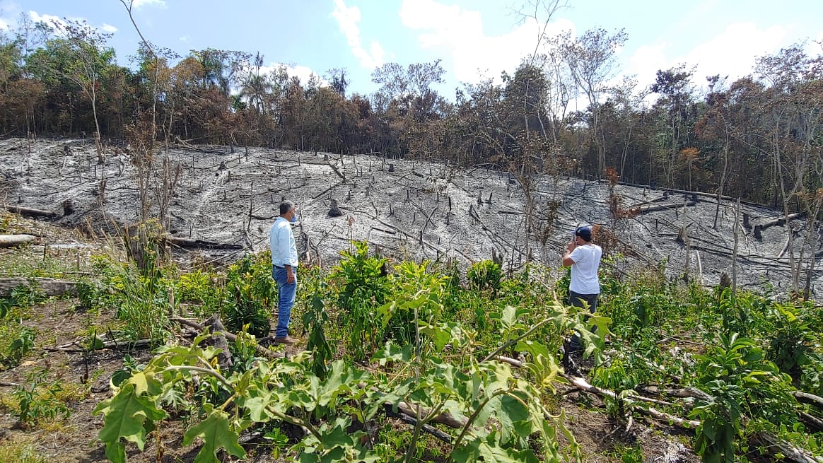 AmbienteRD's tweet photo. Están identificados los responsables del incendio ocurrido el domingo en Palma Herrada, Jamao al Norte, Espaillat, Francisco Espinal y Pascual Paulino, serán sometidos a la justicia. Por la rápida intervención de nuestra brigada y de lugareños  solo afectó 4 tareas de tierra. https://t.co/9iVt0hLwnN