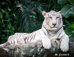 Brenda M. Davis (@brendamdavis3) on Twitter photo 