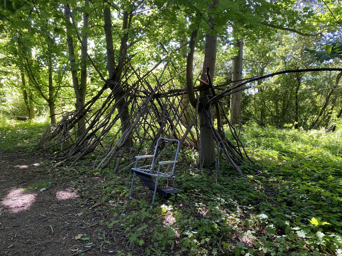 CoulingStuart's tweet photo. Woodland walking on a hot day! An act of #kindness to self and Boggle! #MentalHealthAwarenessWeek2020 #greylees https://t.co/fI2XcfCF9T