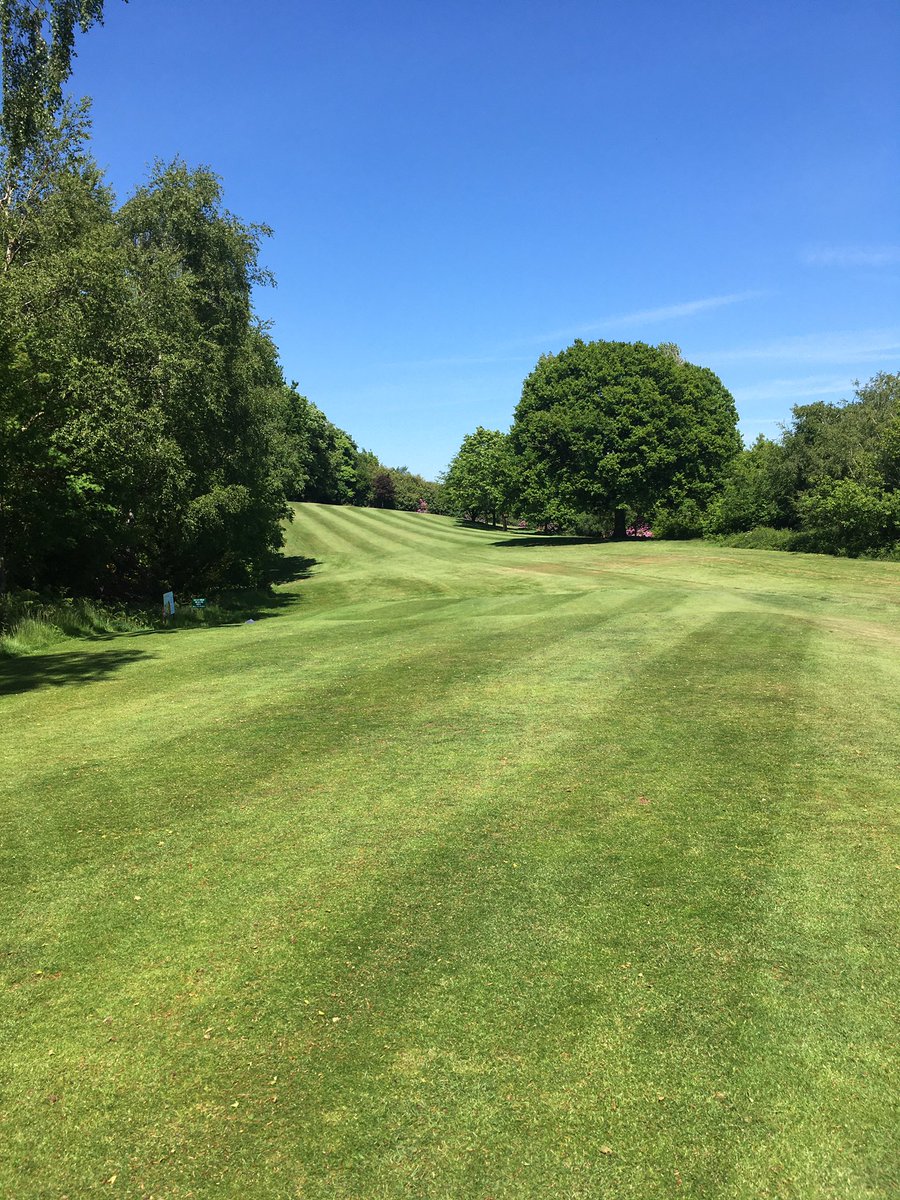 coxy135's tweet photo. Great day at work. Golf course looking stunning in the sun. #Covid_19 #staysafe #golfisback #golfcourse #hottestdayoftheyear #greenkeeping #picoftheday #beautifulday #trees @MarketDraytonGC https://t.co/qZ7O7J5R61