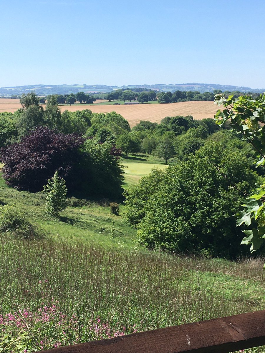 coxy135's tweet photo. Great day at work. Golf course looking stunning in the sun. #Covid_19 #staysafe #golfisback #golfcourse #hottestdayoftheyear #greenkeeping #picoftheday #beautifulday #trees @MarketDraytonGC https://t.co/qZ7O7J5R61