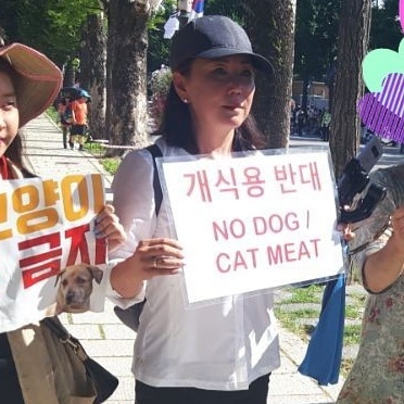 susan_song_v's tweet photo. .@moonriver365
@TheBlueHouseENG
@dudehowru
@mafrakorea
@hellopolicy
@TheMinjoo_Kr
#SKorea  2018
1,500+ gathered &amp; marched to @TheBlueHouseKR to urge the end of the #DogCatMeatTrade.
#DogandCatMeatFreeeorea
#코로나19
#21대국회 
#한정애의원님
#페기물관리법
#축산물관리법
#개식용종식 https://t.co/TKLlHSIn8Z