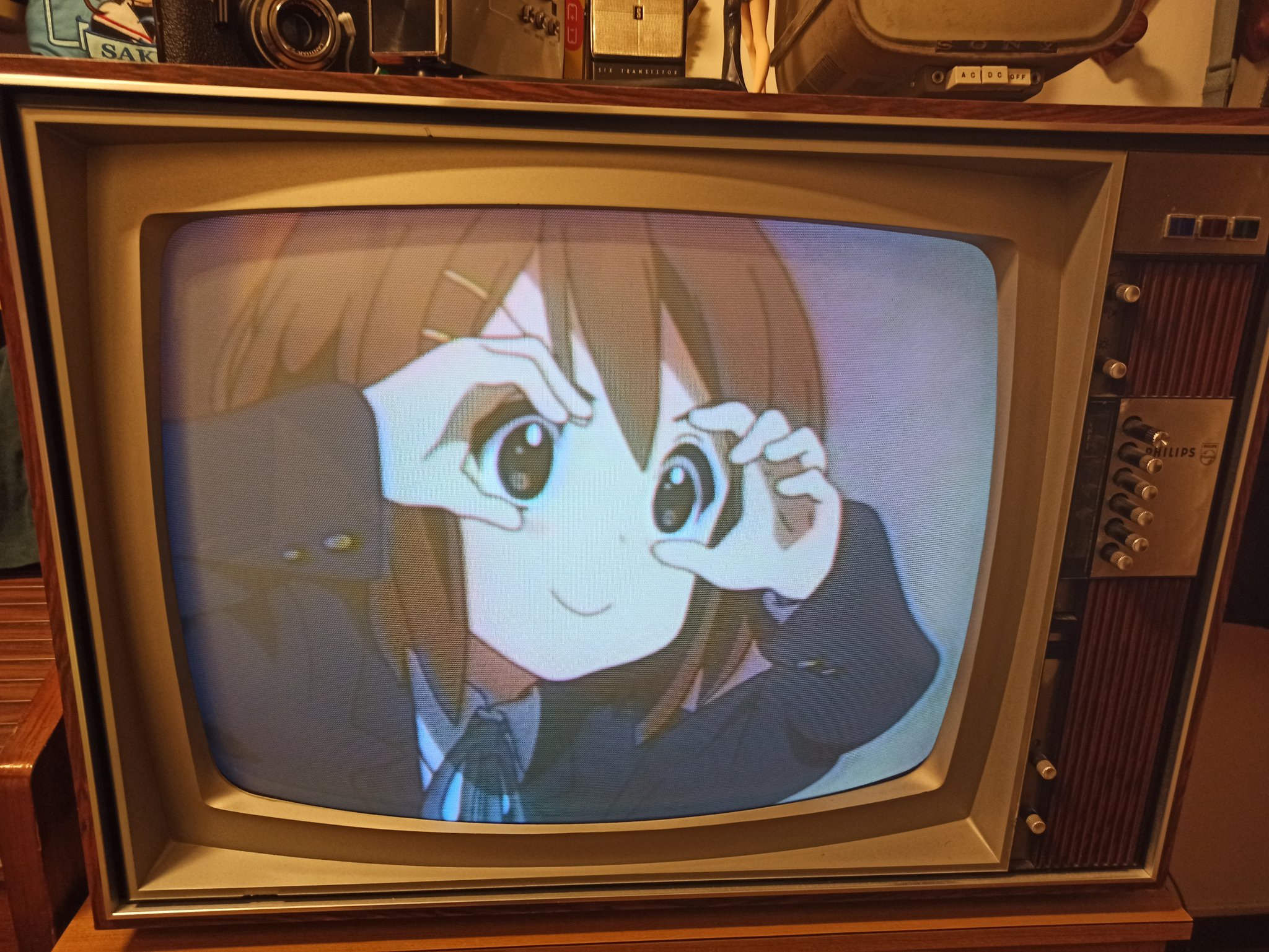 Yui Hirasawa, Wiki