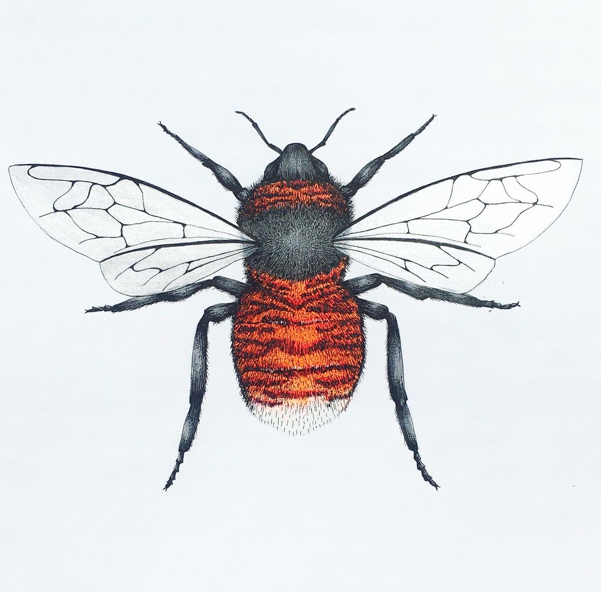 Happy #WorldBeeDay2020