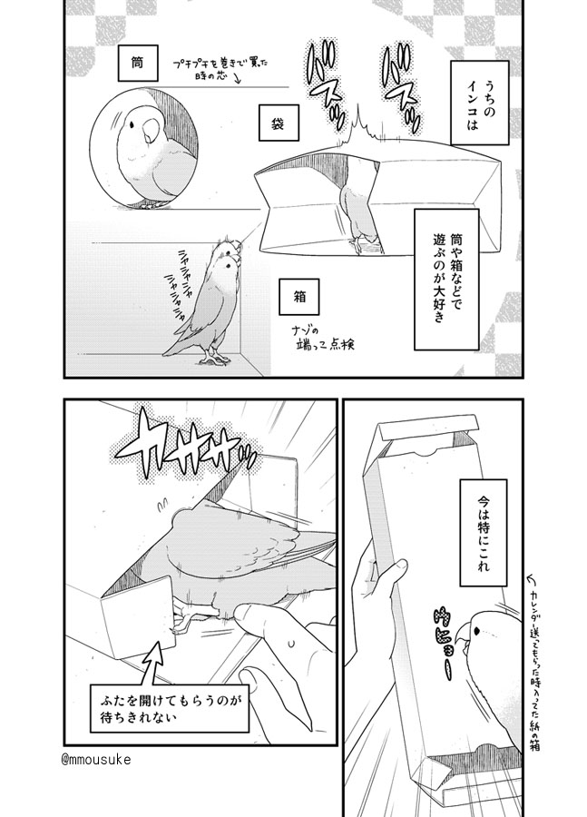 私が日々インコの奴隷として働いている様子を描いた漫画です 