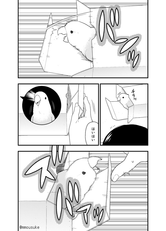 私が日々インコの奴隷として働いている様子を描いた漫画です 