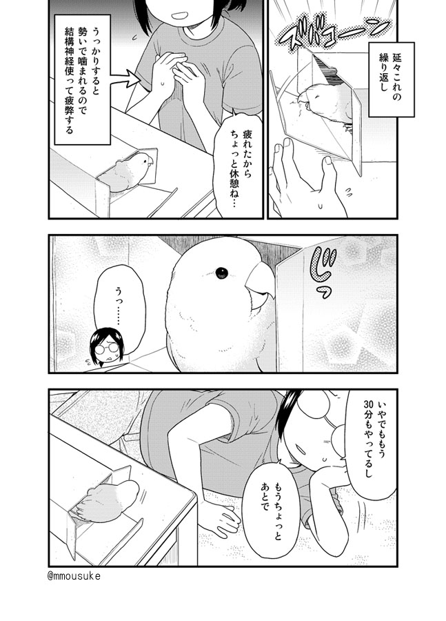 私が日々インコの奴隷として働いている様子を描いた漫画です 