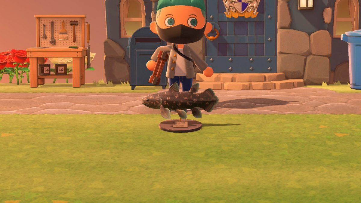 BlueHorizons7's tweet photo. #AnimalCrossing #ACNH #NintendoSwitch https://t.co/9G7nW0eGZZ